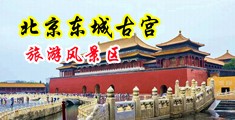 大鸡鸡艹骚比视频免费看中国北京-东城古宫旅游风景区